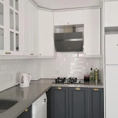 Full Restored And Renewed Fresh Flat 公寓